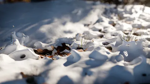 Snow - Blender geometry nodes