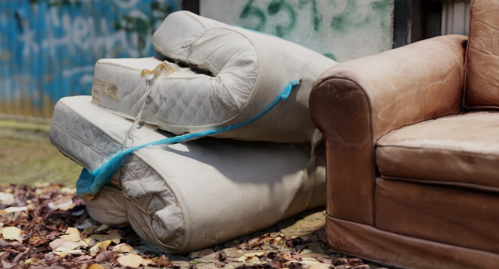 Sofa and Mattress screenshot 4