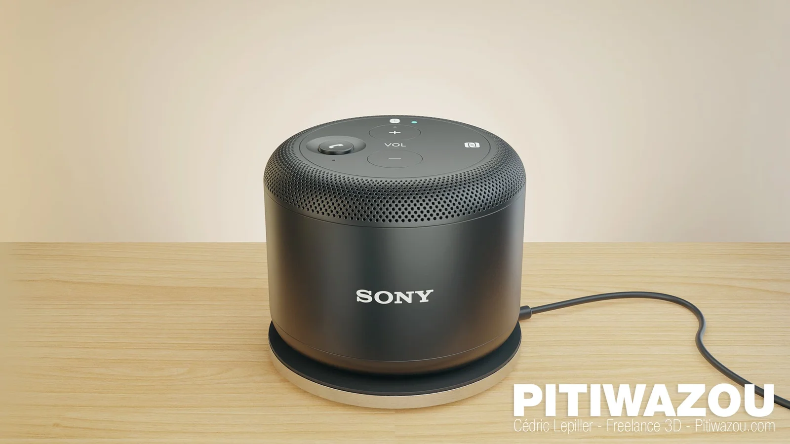 Sony BSP10 Workflow screenshot 2