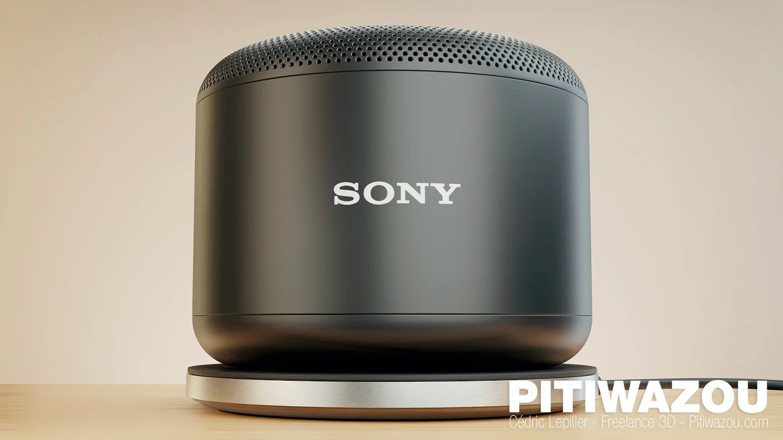 Sony BSP10 Workflow screenshot 5