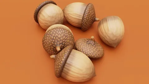Stylized Acorns - Blender 3d models