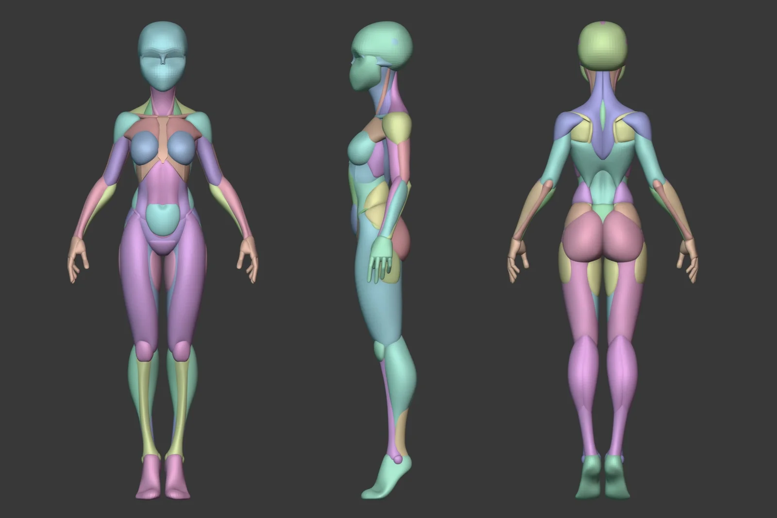 Stylized Female Anatomy screenshot 7