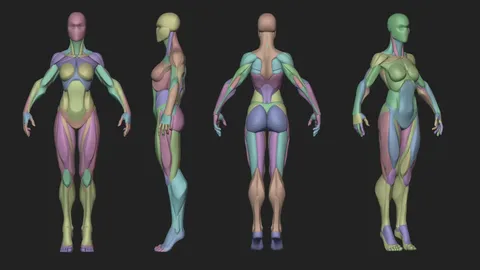 Stylized Female Blockout - Blender 3d models