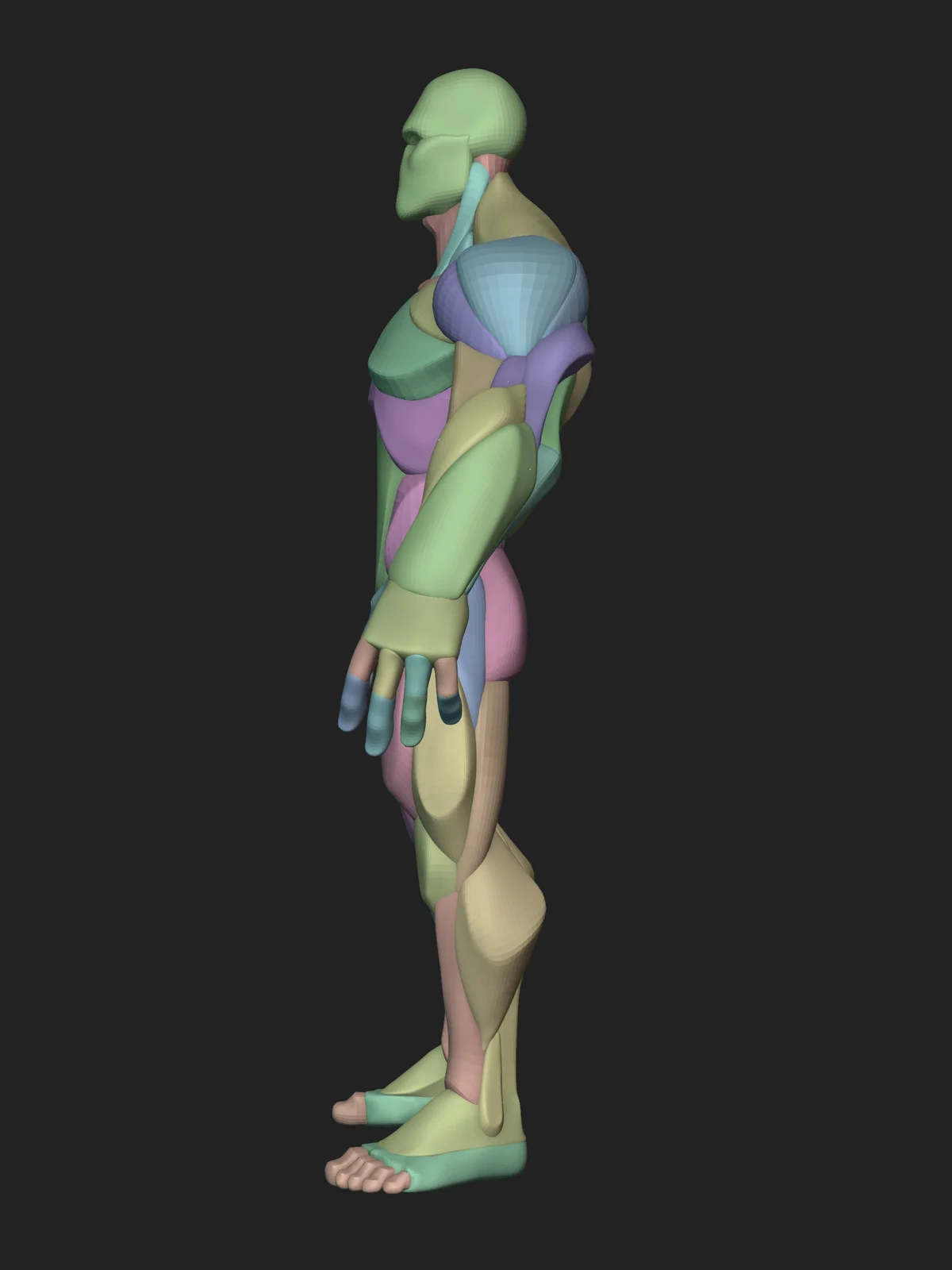 Stylized Hero Anatomy screenshot 3