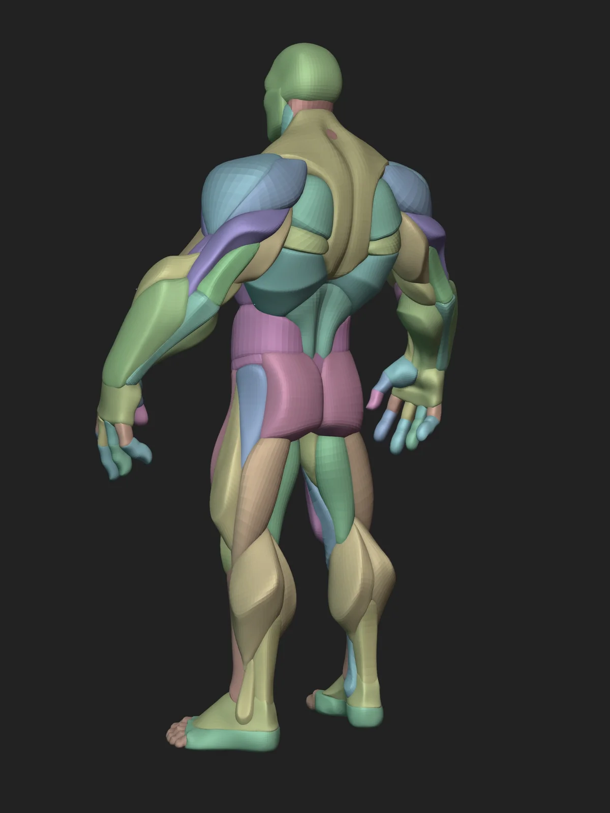 Stylized Hero Anatomy screenshot 4
