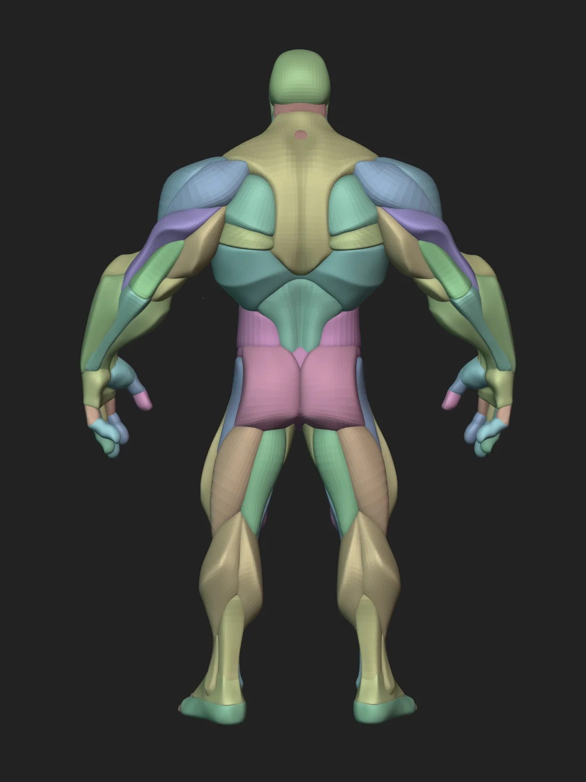 Stylized Hero Anatomy screenshot 5