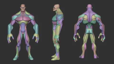 Stylized Hero Anatomy - Blender 3d models