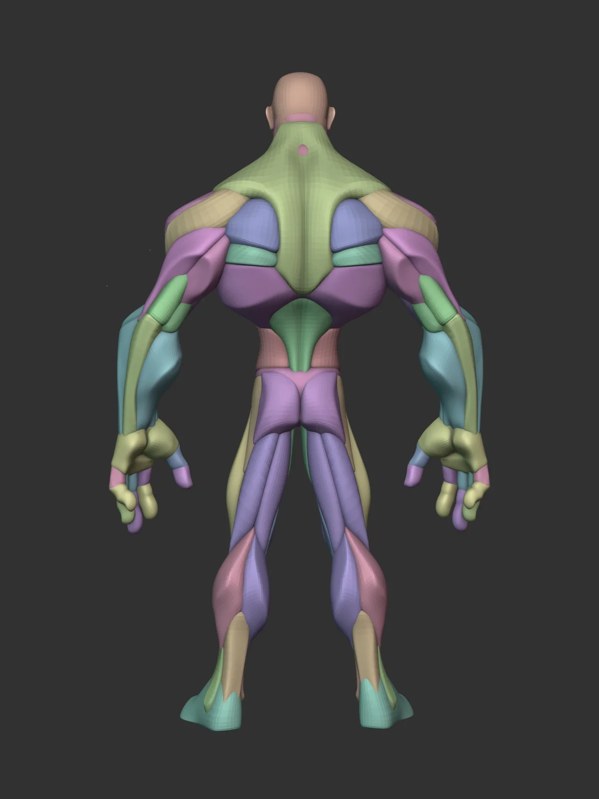 Stylized Hero Anatomy screenshot 2