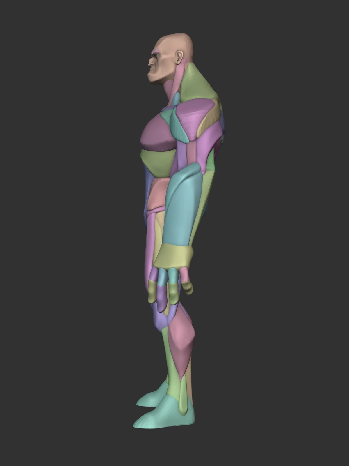 Stylized Hero Anatomy screenshot 3