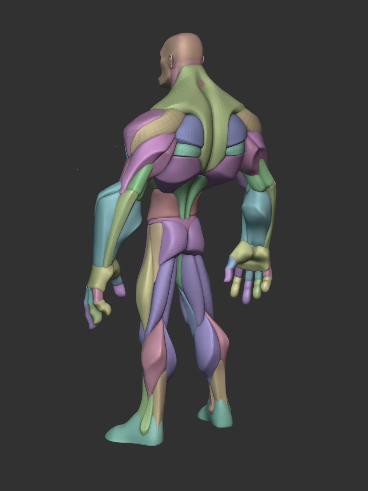 Stylized Hero Anatomy screenshot 5