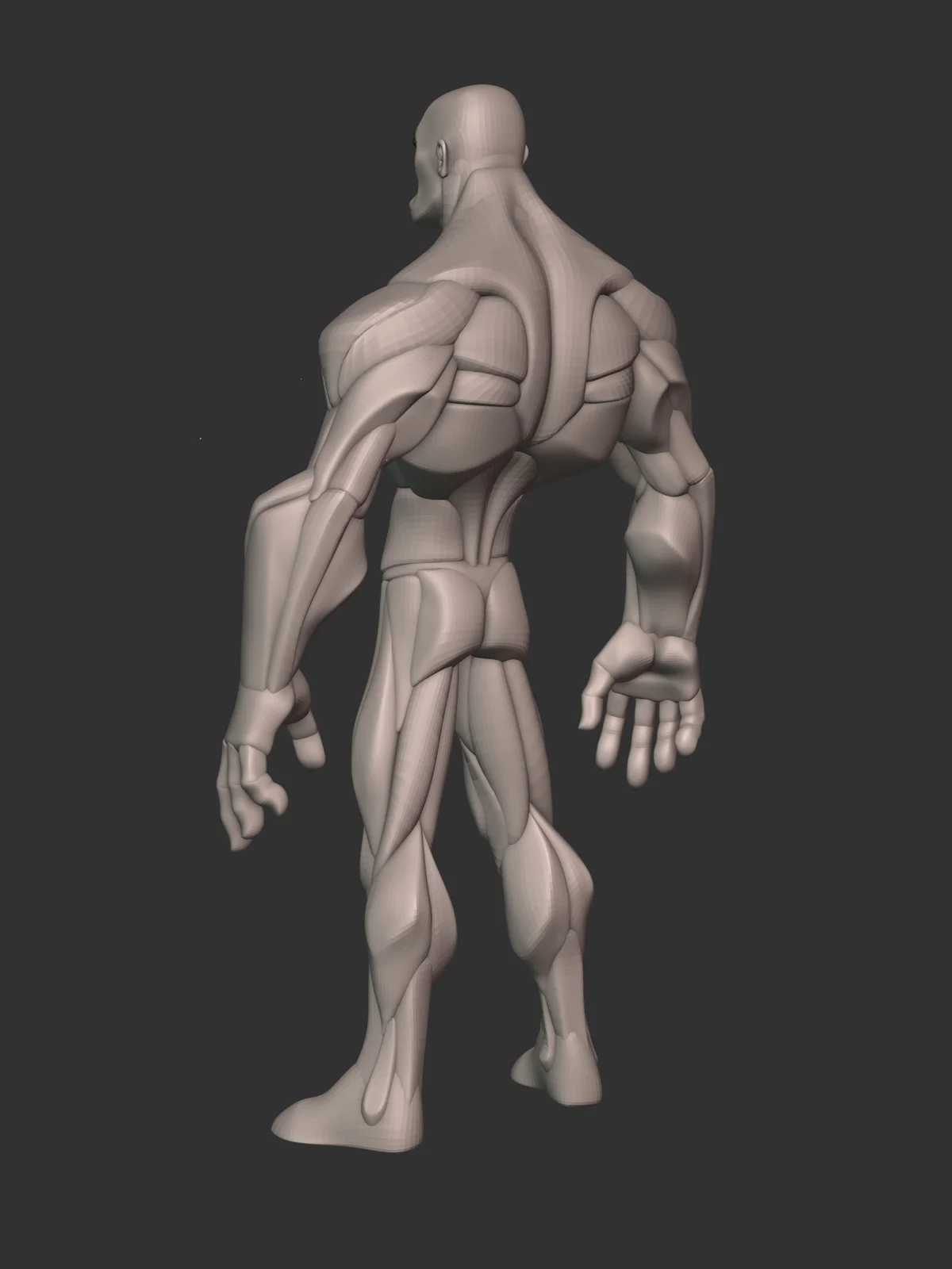 Stylized Hero Anatomy screenshot 7