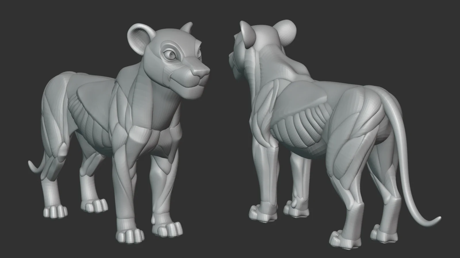 Stylized Lion Anatomy Blockout screenshot 2