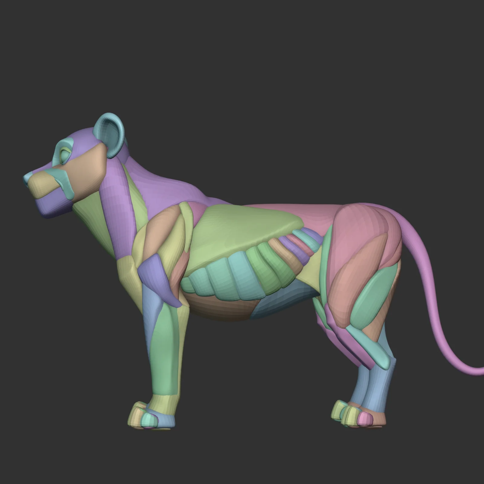 Stylized Lion Anatomy Blockout screenshot 3