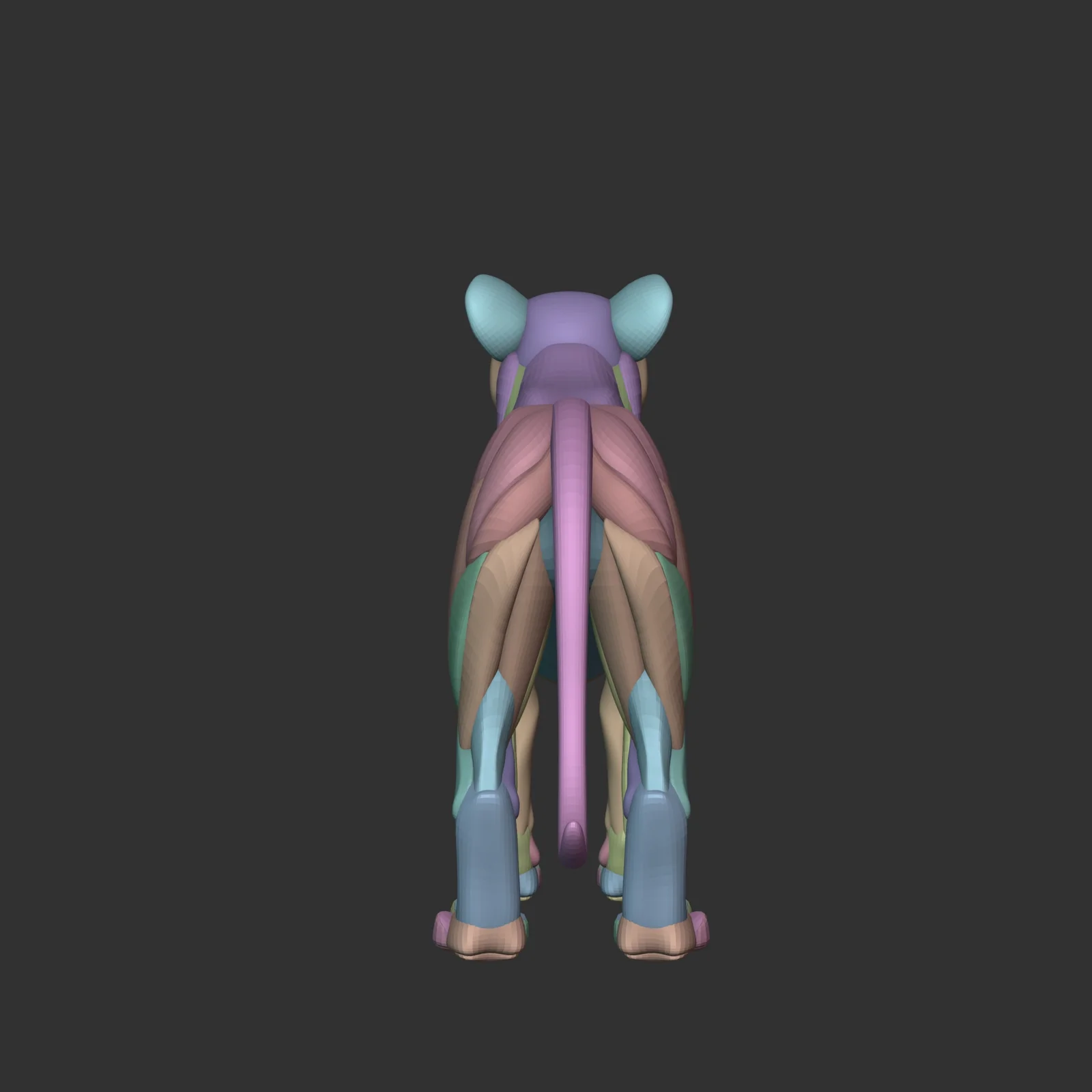 Stylized Lion Anatomy Blockout screenshot 6