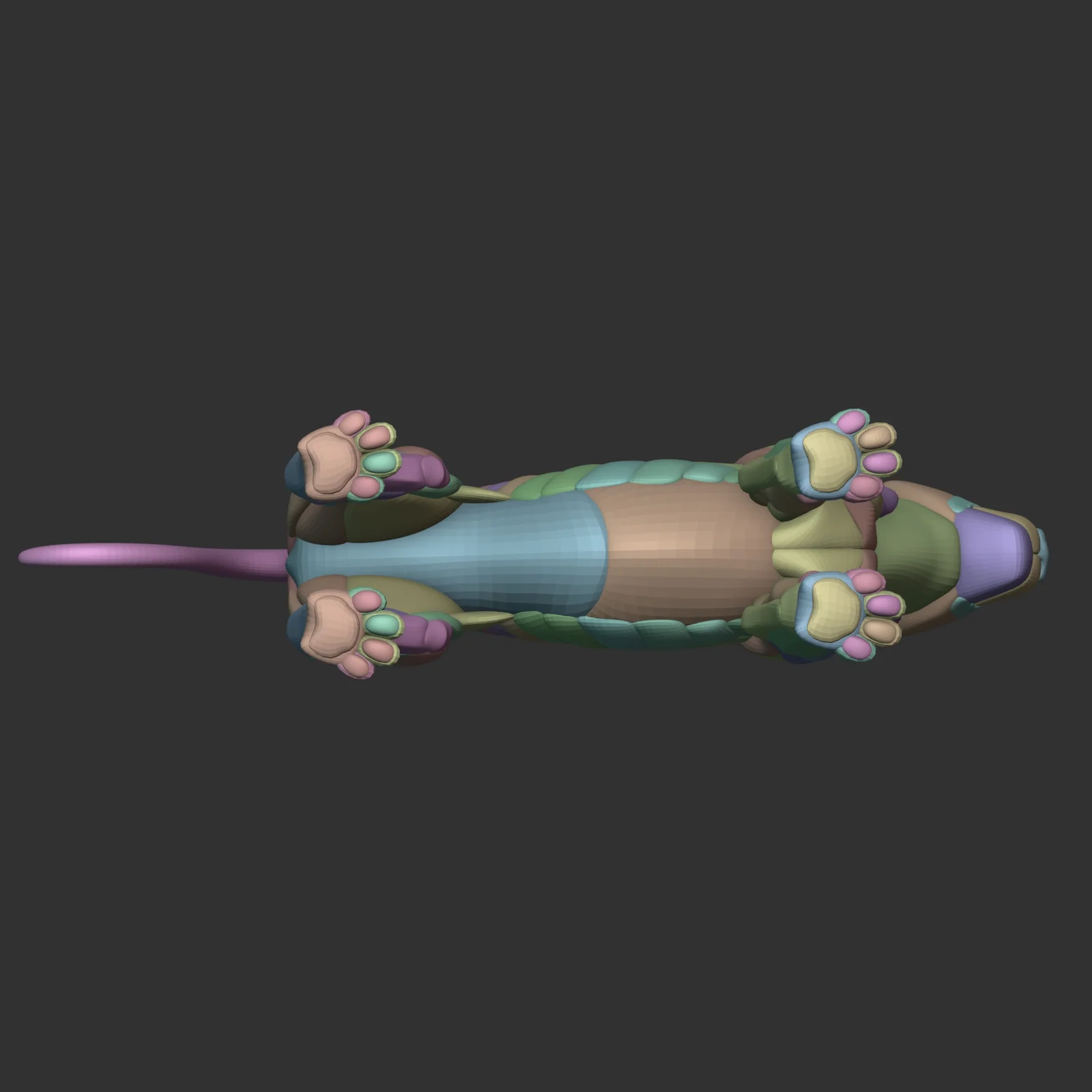 Stylized Lion Anatomy Blockout screenshot 7