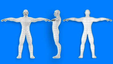 Stylized Male Base Mesh - Blender 3d models