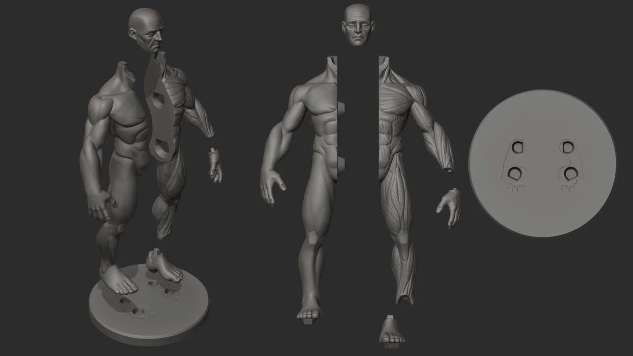 Stylized Male Ecorche screenshot 3