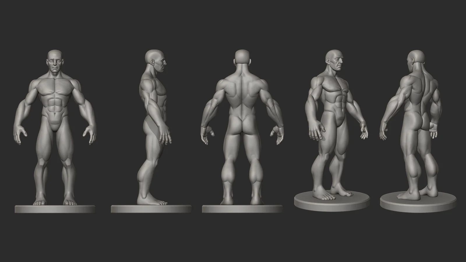 Stylized Male Ecorche screenshot 4