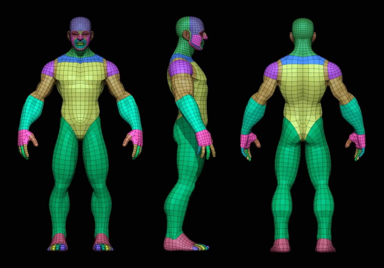 Stylized Male Ecorche screenshot 8