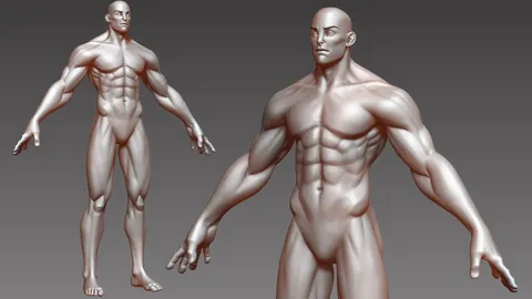 Stylized Male Hero Base - Blender 3d models