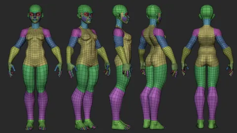 Stylized Ripped Female Basemesh - Blender 3d models