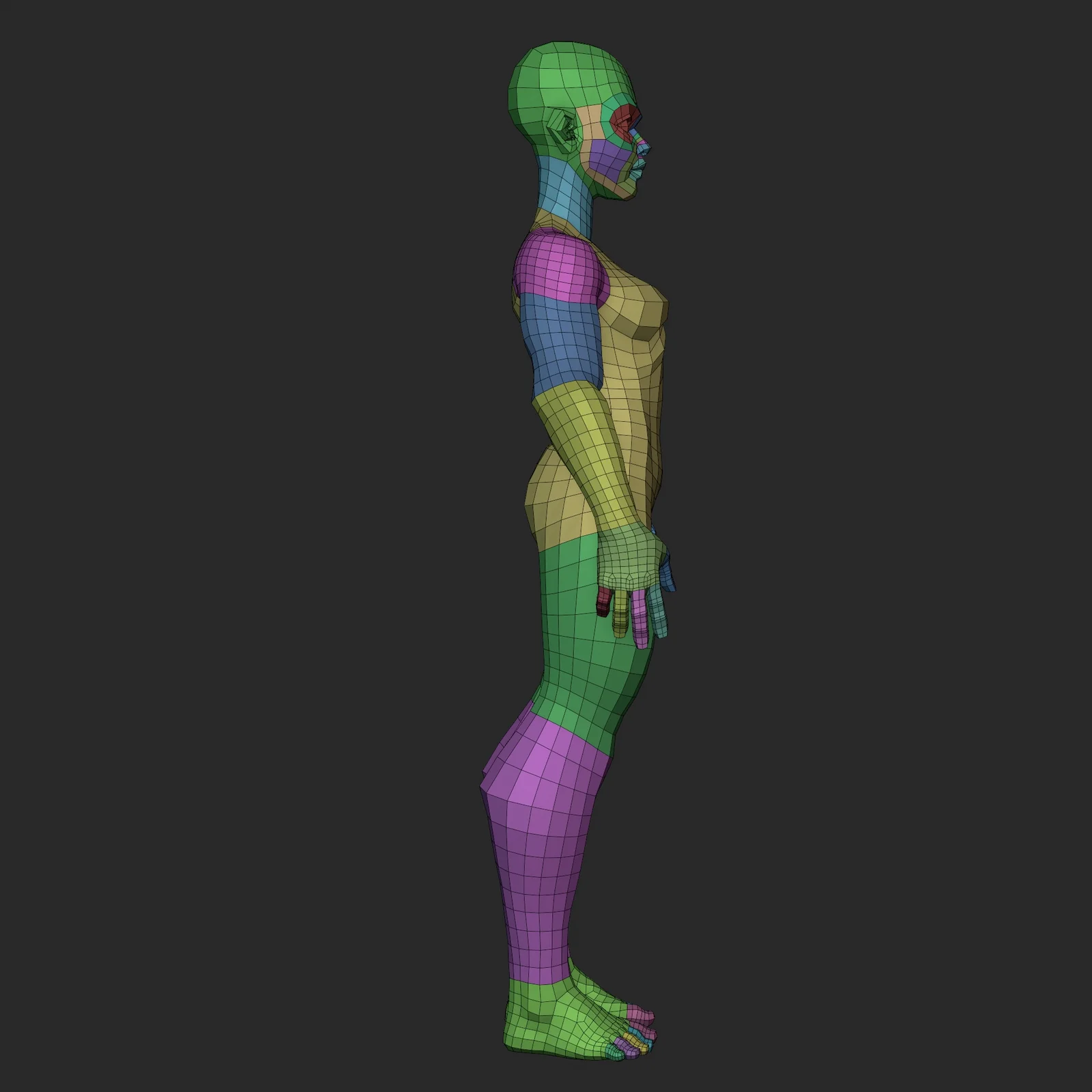 Stylized Ripped Female Basemesh screenshot 6