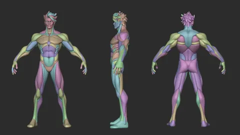 Stylized Warrior Anatomy Blockout - Blender 3d models