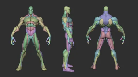Stylized Warrior Anatomy Blockout - Blender 3d models