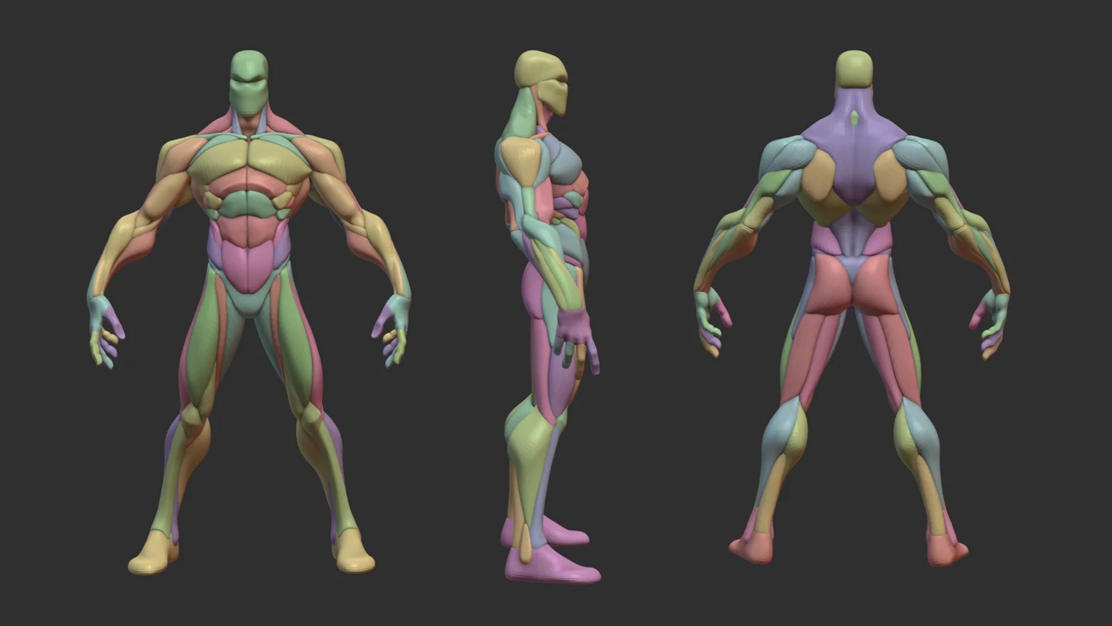 Stylized Warrior Anatomy Blockout screenshot 3