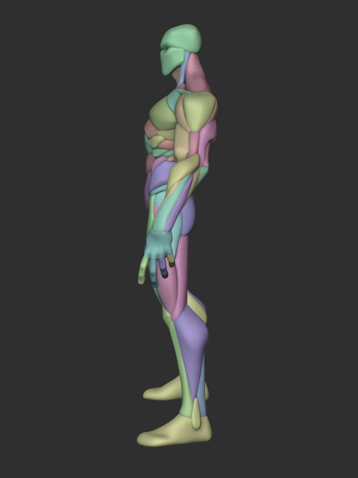 Stylized Warrior Anatomy Blockout screenshot 6