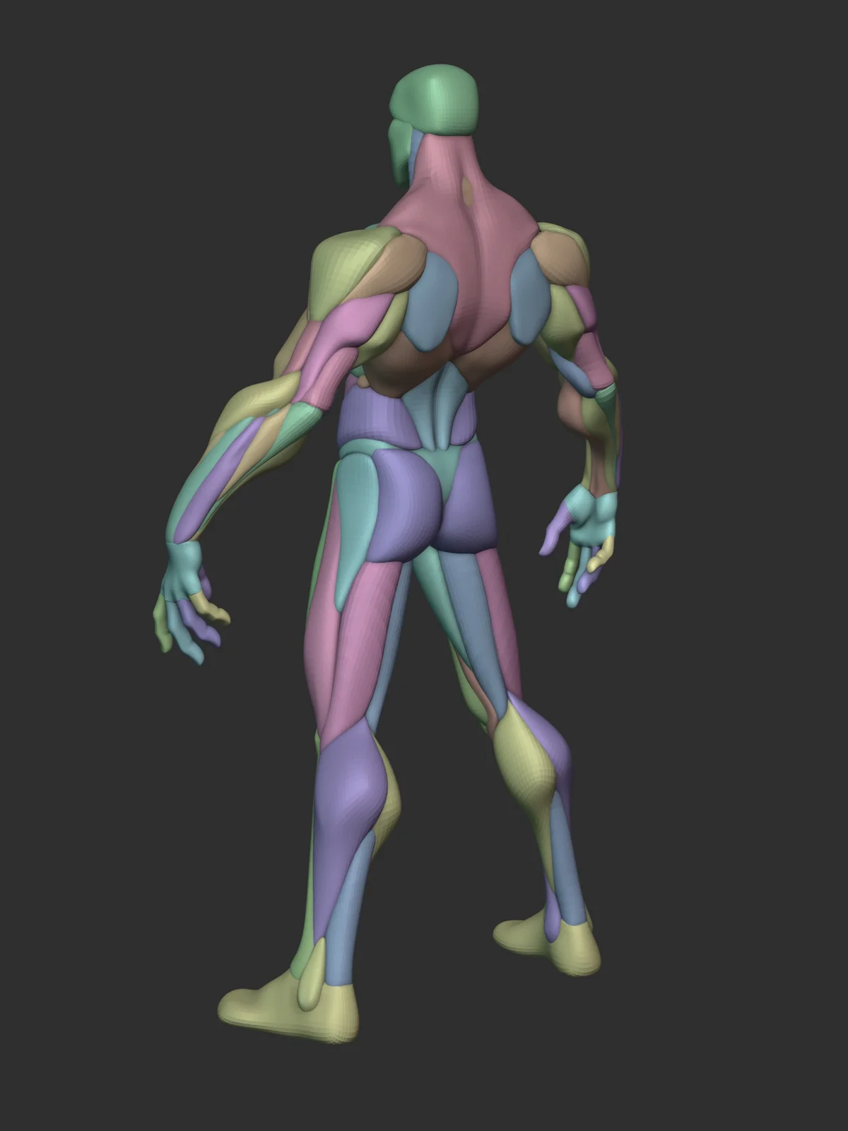 Stylized Warrior Anatomy Blockout screenshot 7
