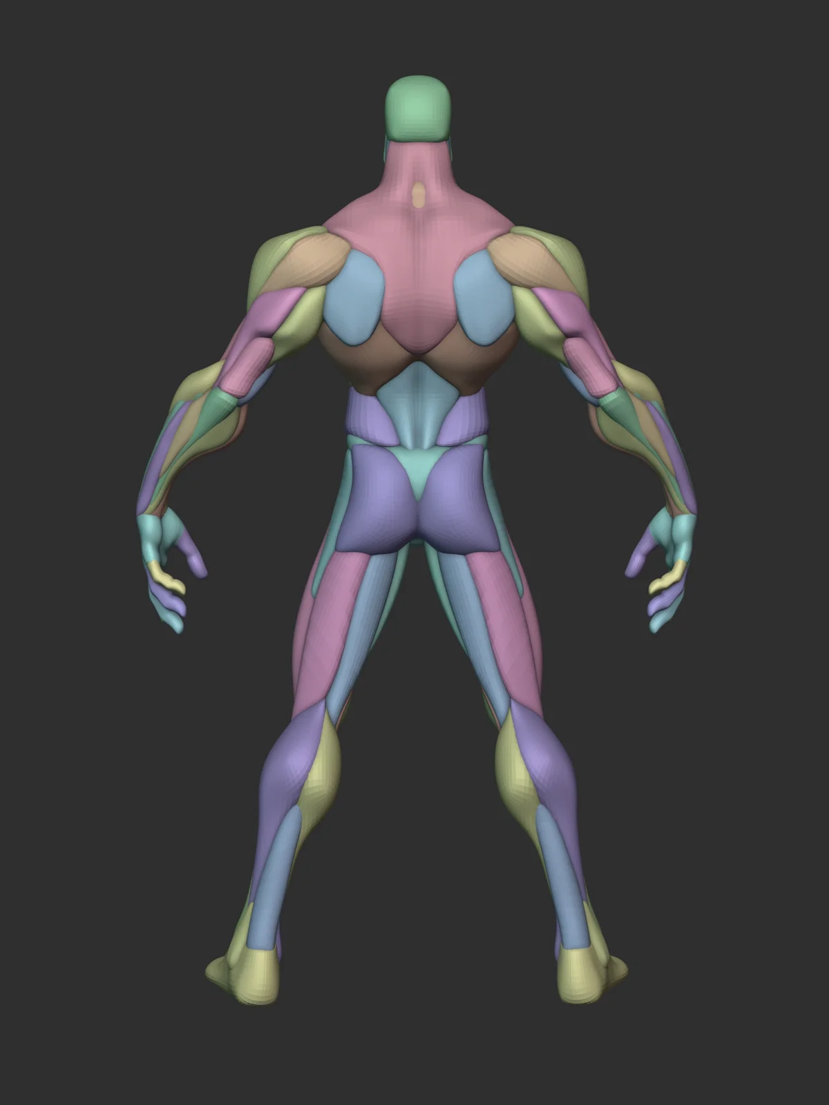 Stylized Warrior Anatomy Blockout screenshot 8