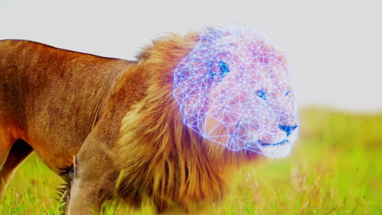 Surface Tracker & Viewport Mask screenshot 3