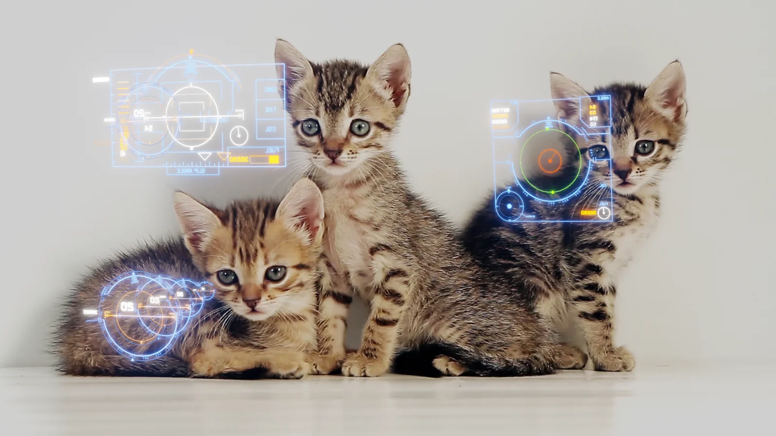 Surface Tracker & Viewport Mask screenshot 4