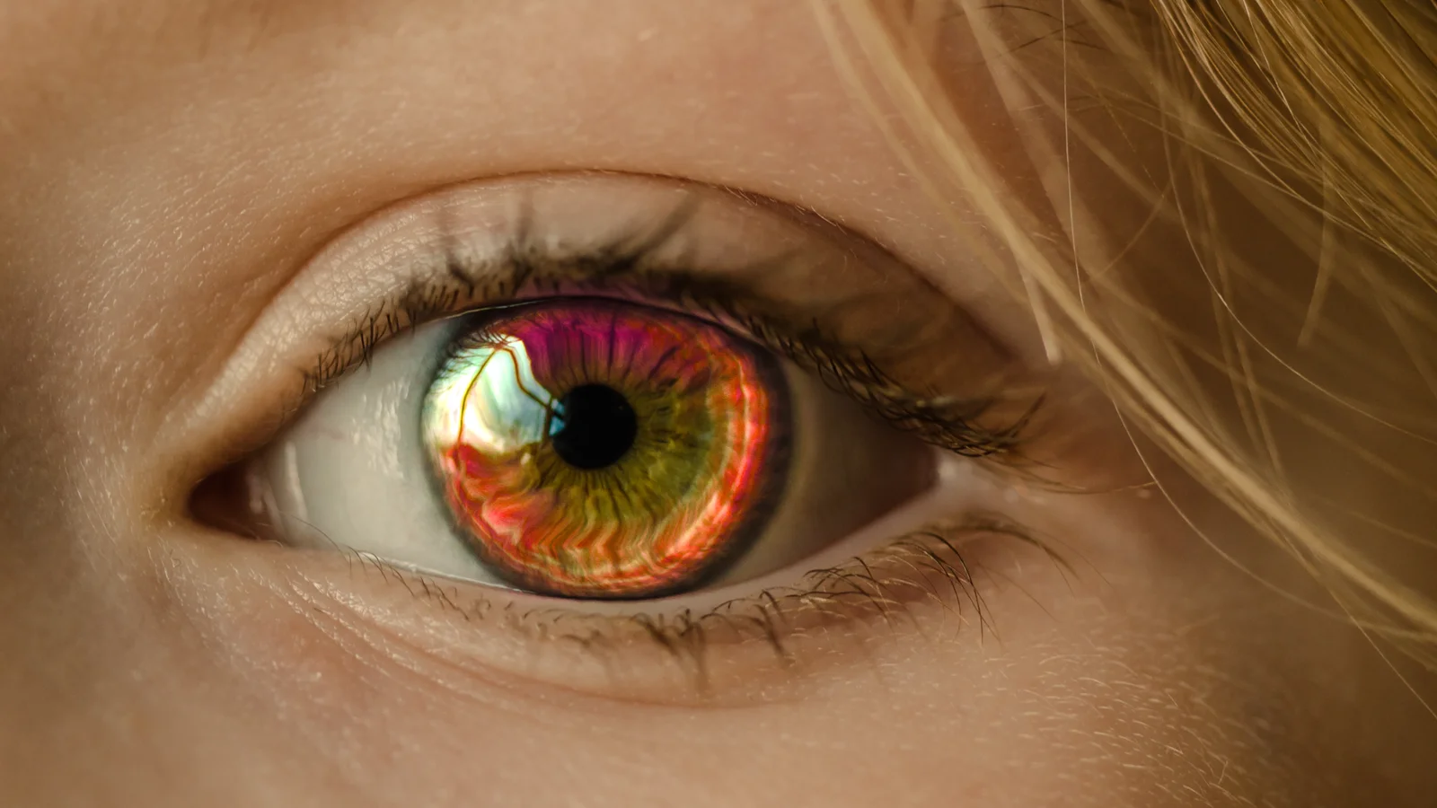 Surface Tracker & Viewport Mask screenshot 6