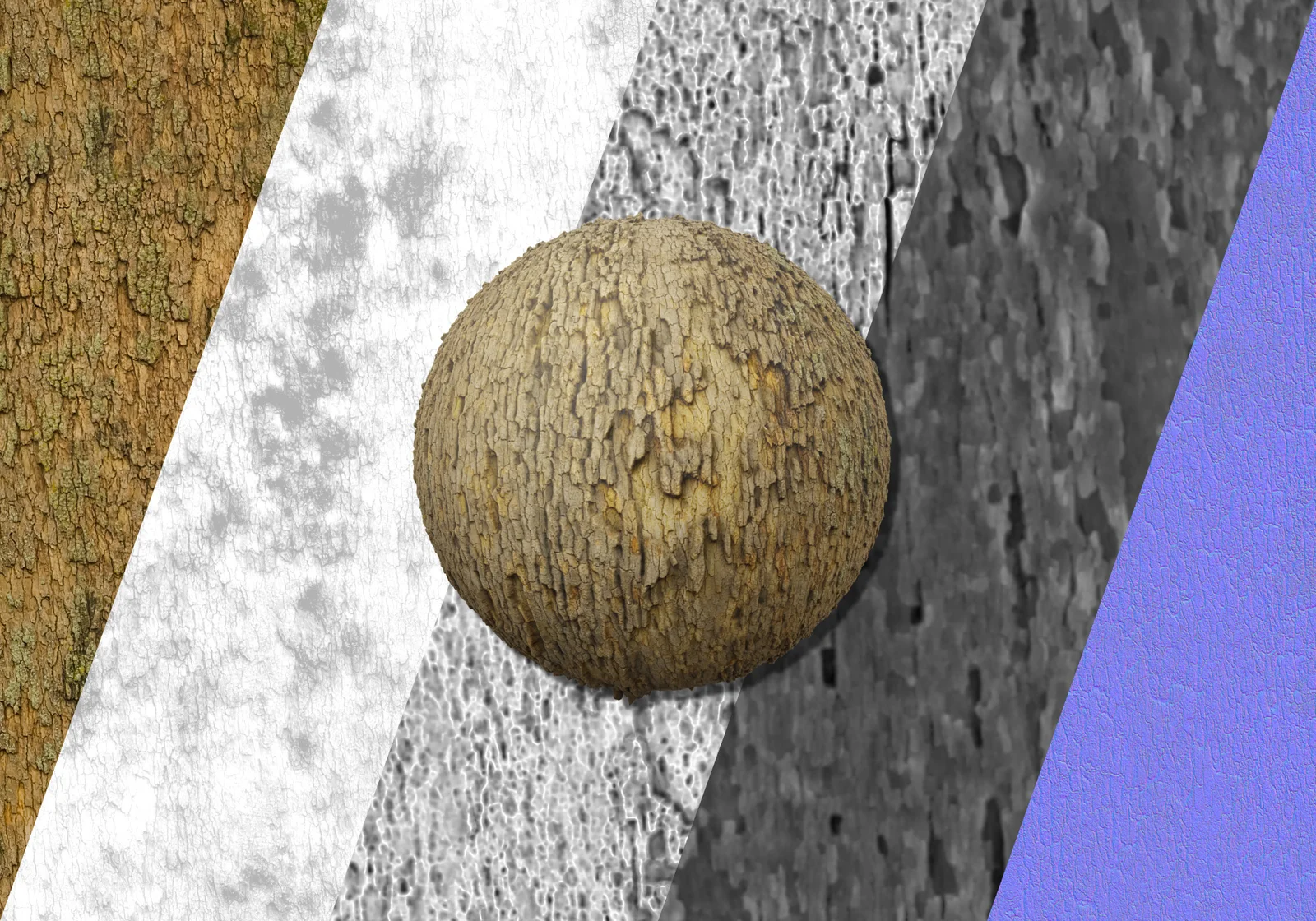 Sycamore 1 screenshot 2