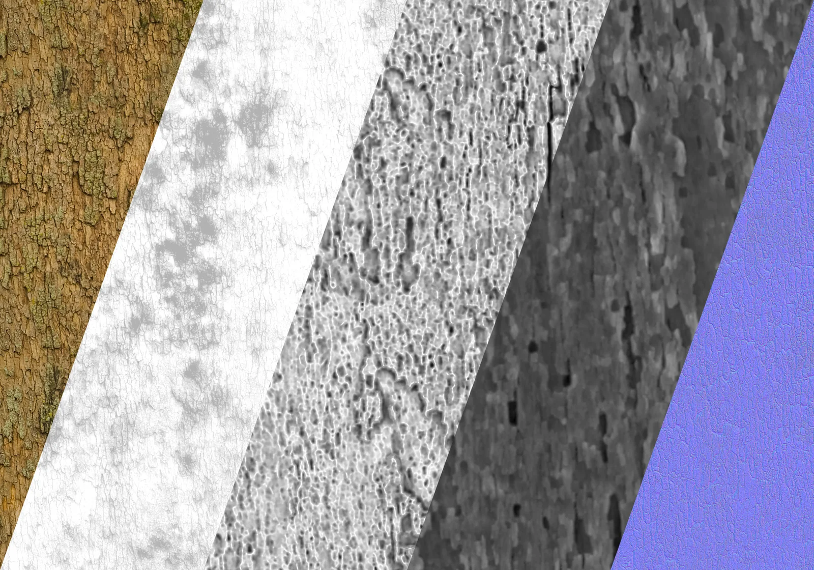 Sycamore 1 screenshot 3