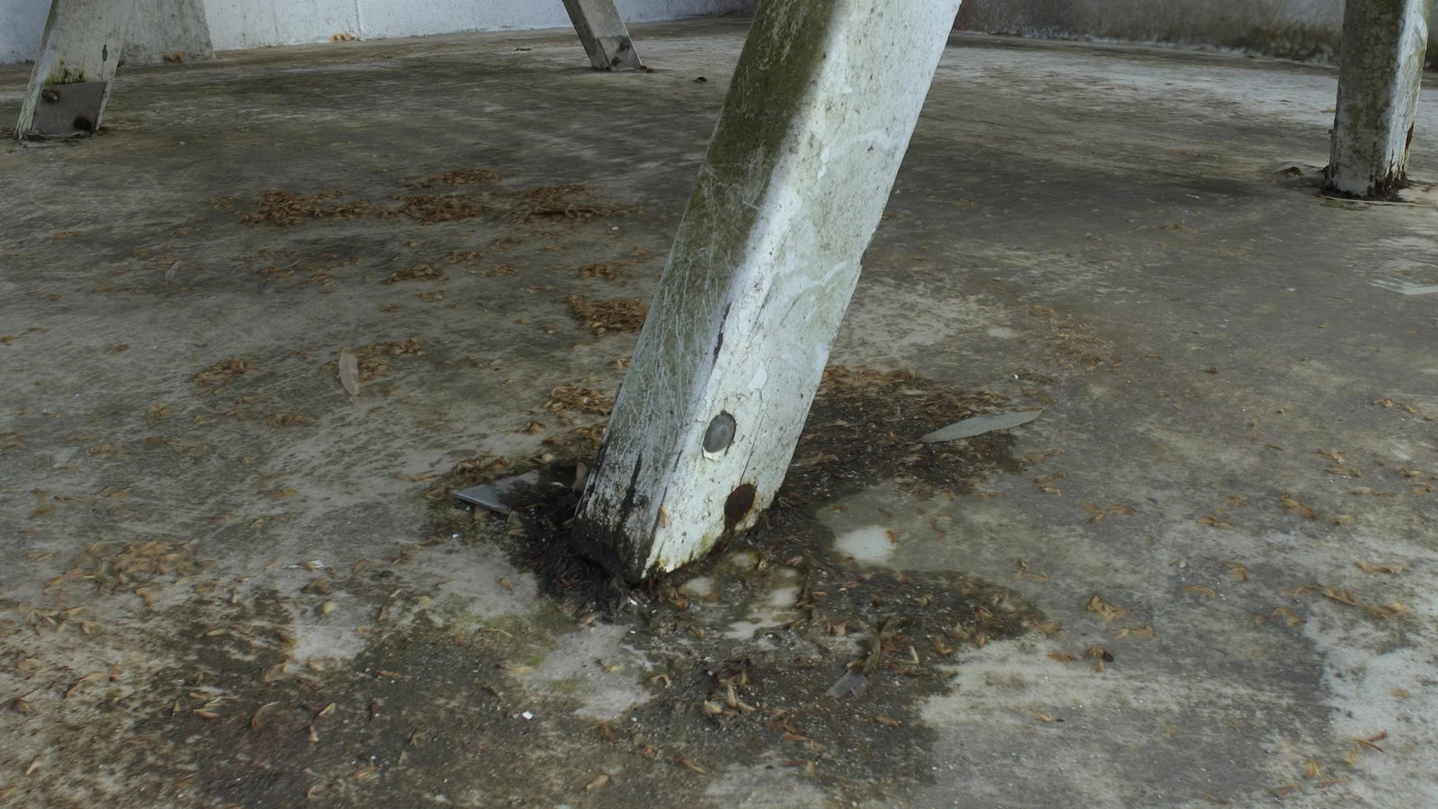 Table and Bench Raw Scan screenshot 3