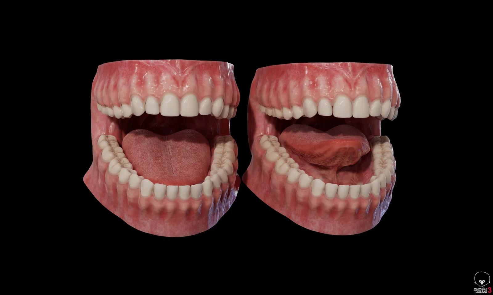 Teeth Model screenshot 2