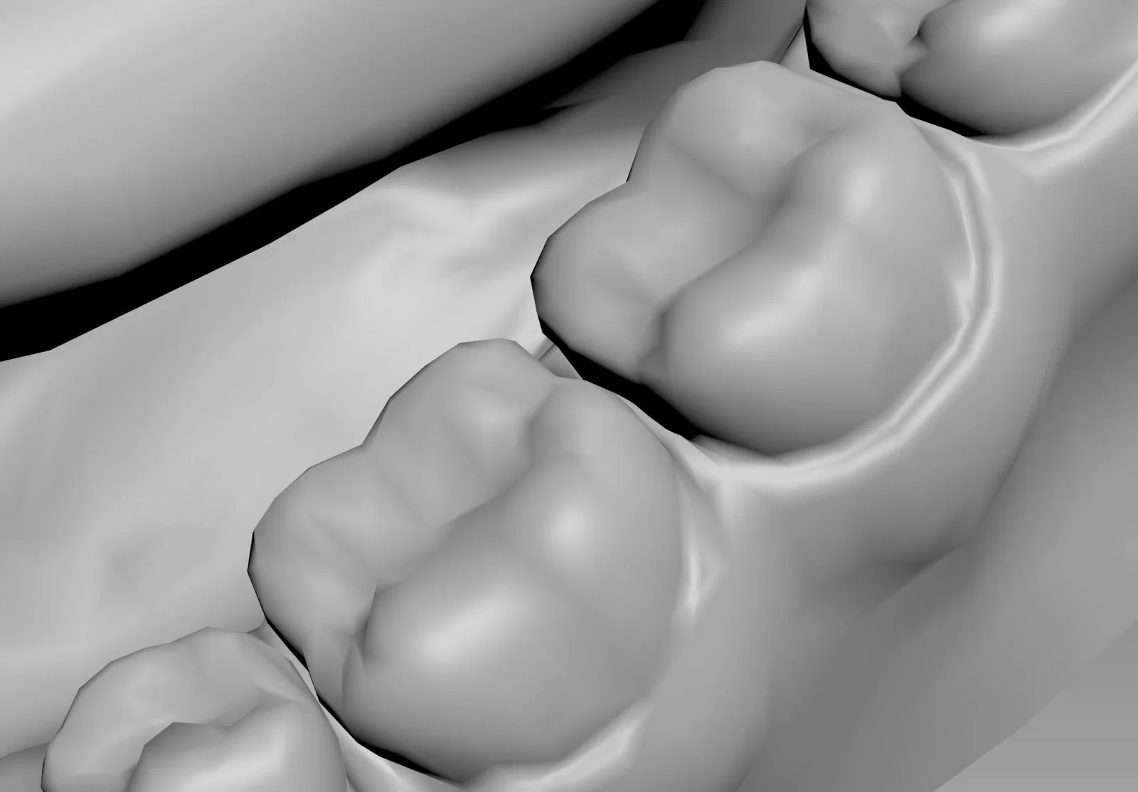 Teeth Model screenshot 5
