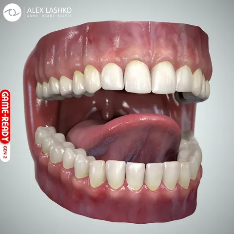 Teeth & Tongue Set - Blender 3d models