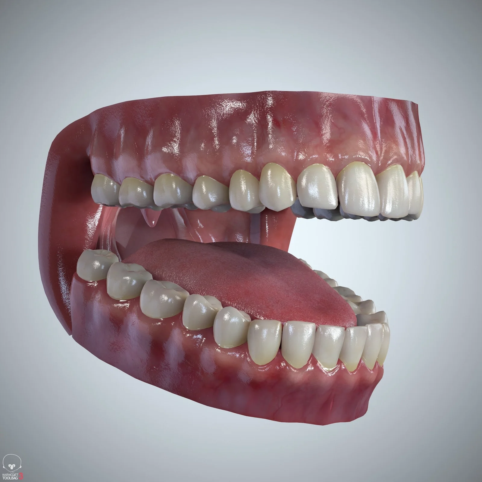 Teeth & Tongue Set screenshot 2