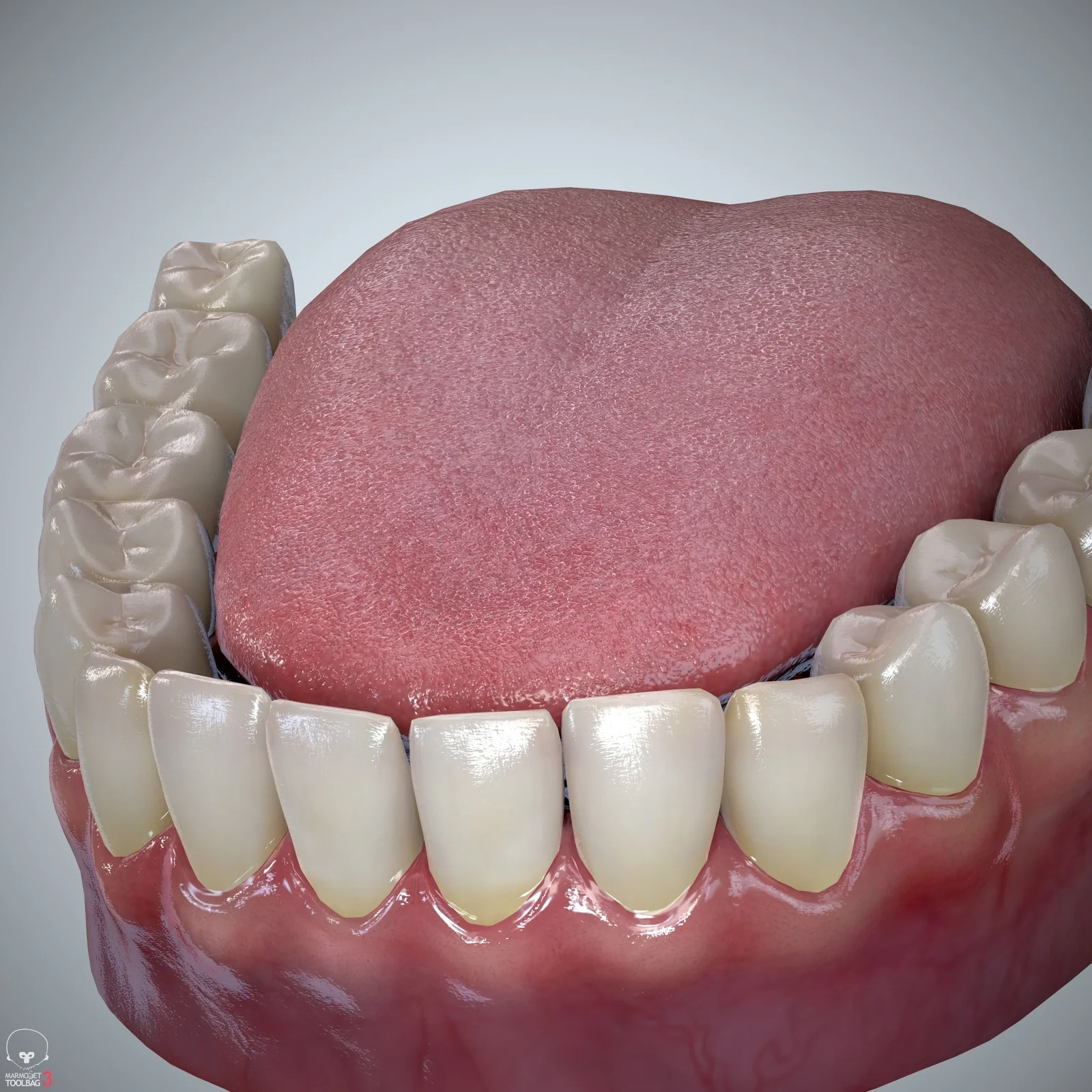 Teeth & Tongue Set screenshot 3