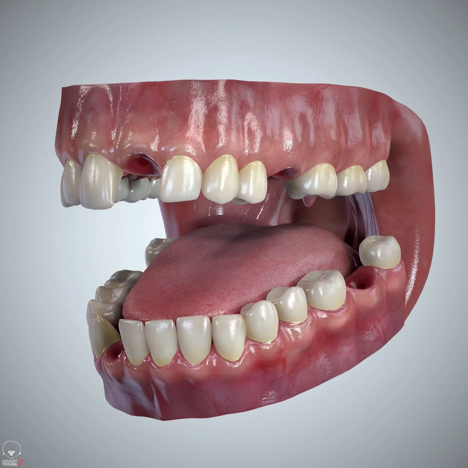 Teeth & Tongue Set screenshot 6