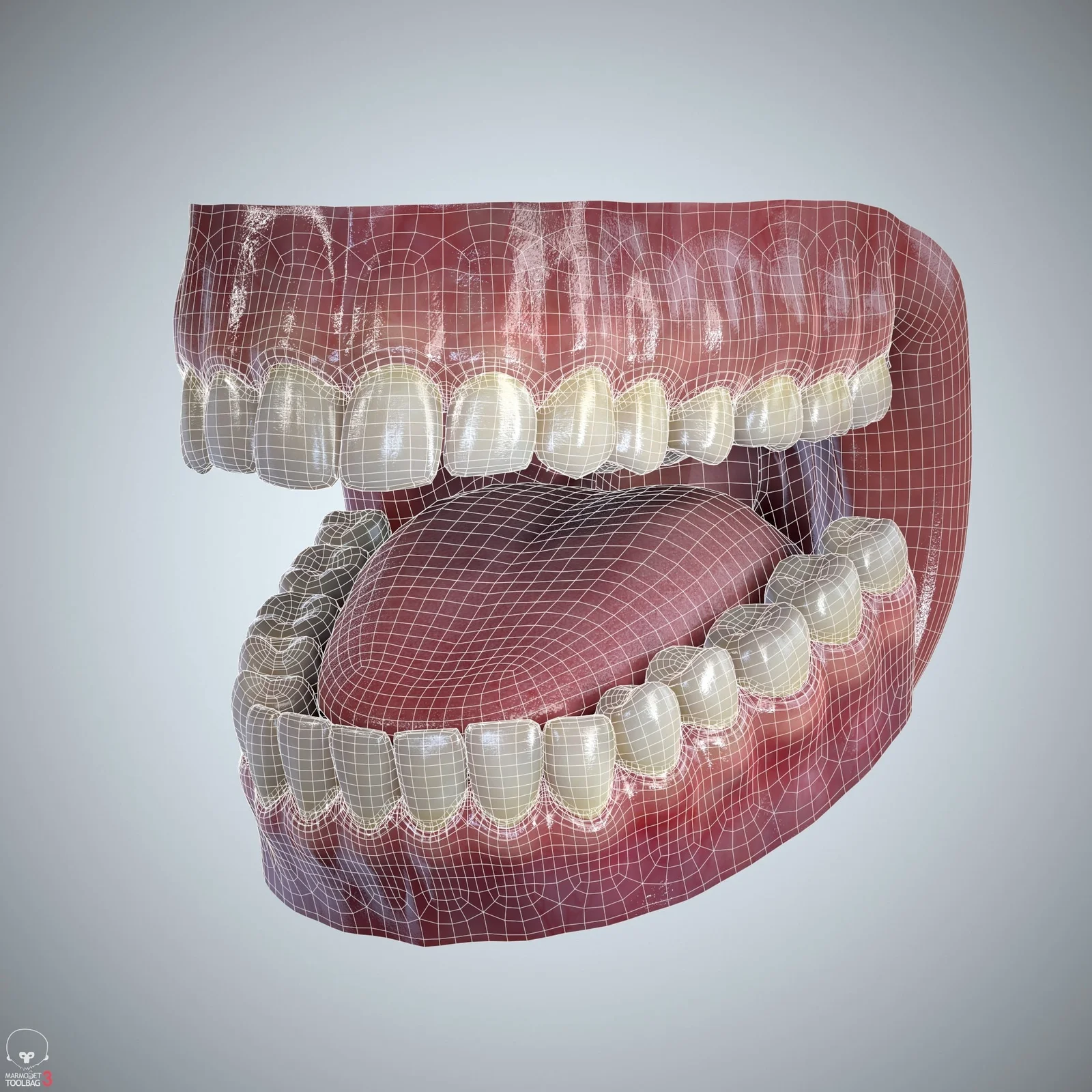 Teeth & Tongue Set screenshot 8