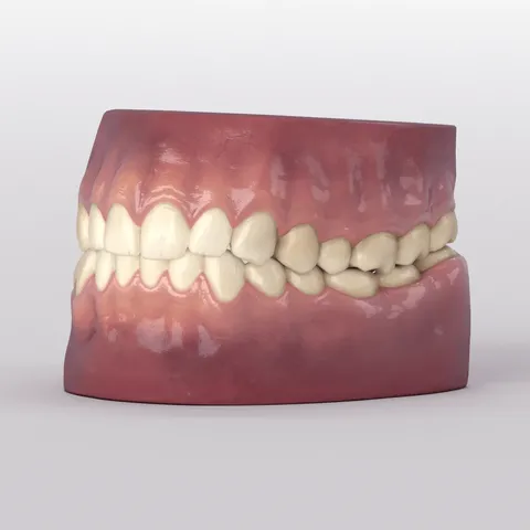 Low Poly Teeth and Gums - Blender 3d models