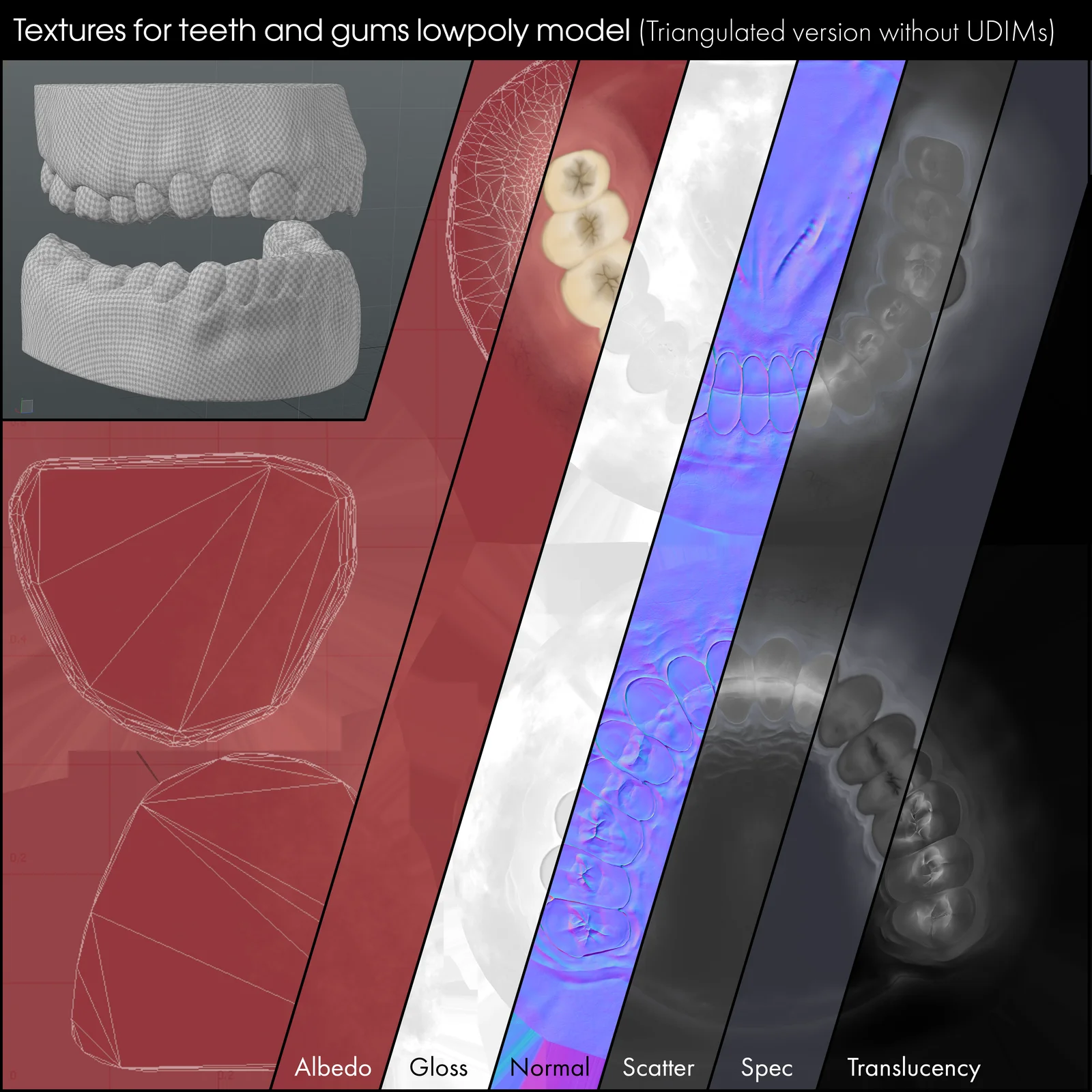 Low Poly Teeth and Gums screenshot 4