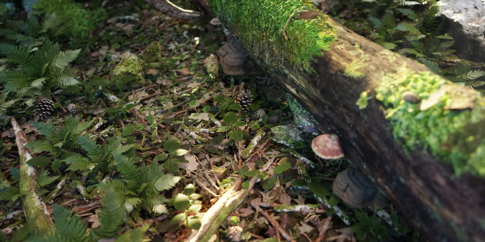 Terra Scans screenshot 3