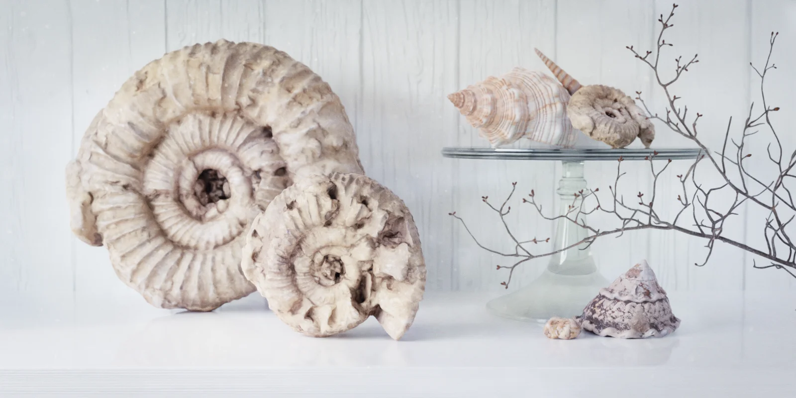 Terra Scans screenshot 8