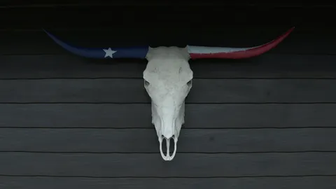 Texas Longhorn Skull - Blender 3d models